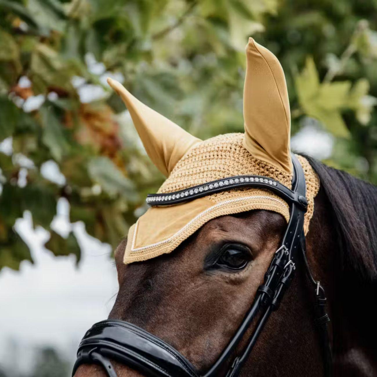  42626 44MUSTARD KENTUCKY 