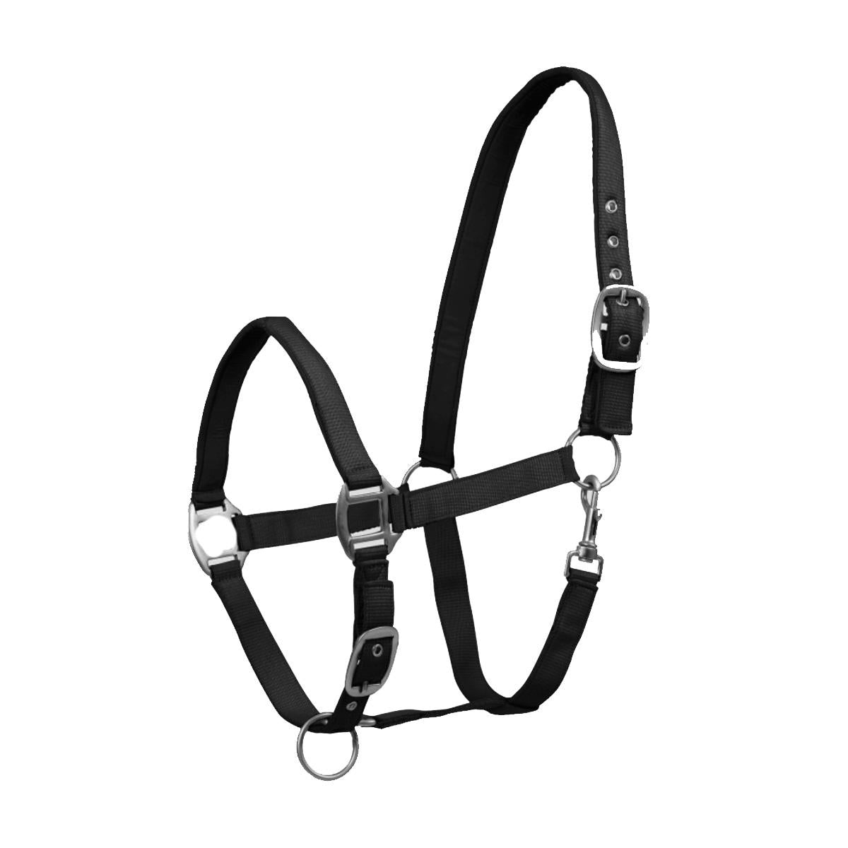 Waldhausen PERLON HALTER SATIN Nero CAPEZZINI E CAPEZZE 5025 01BLACK WALDHAUSEN 