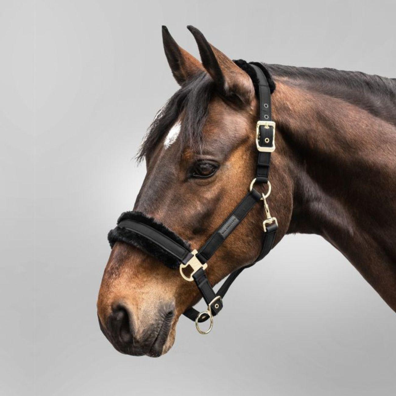 Waldhausen HALTER EXCLUSIVE WALDHAUSEN Nightblack/black CAPEZZINI E CAPEZZE 50517 01NIGHTBLACK/BLACK WALDHAUSEN 