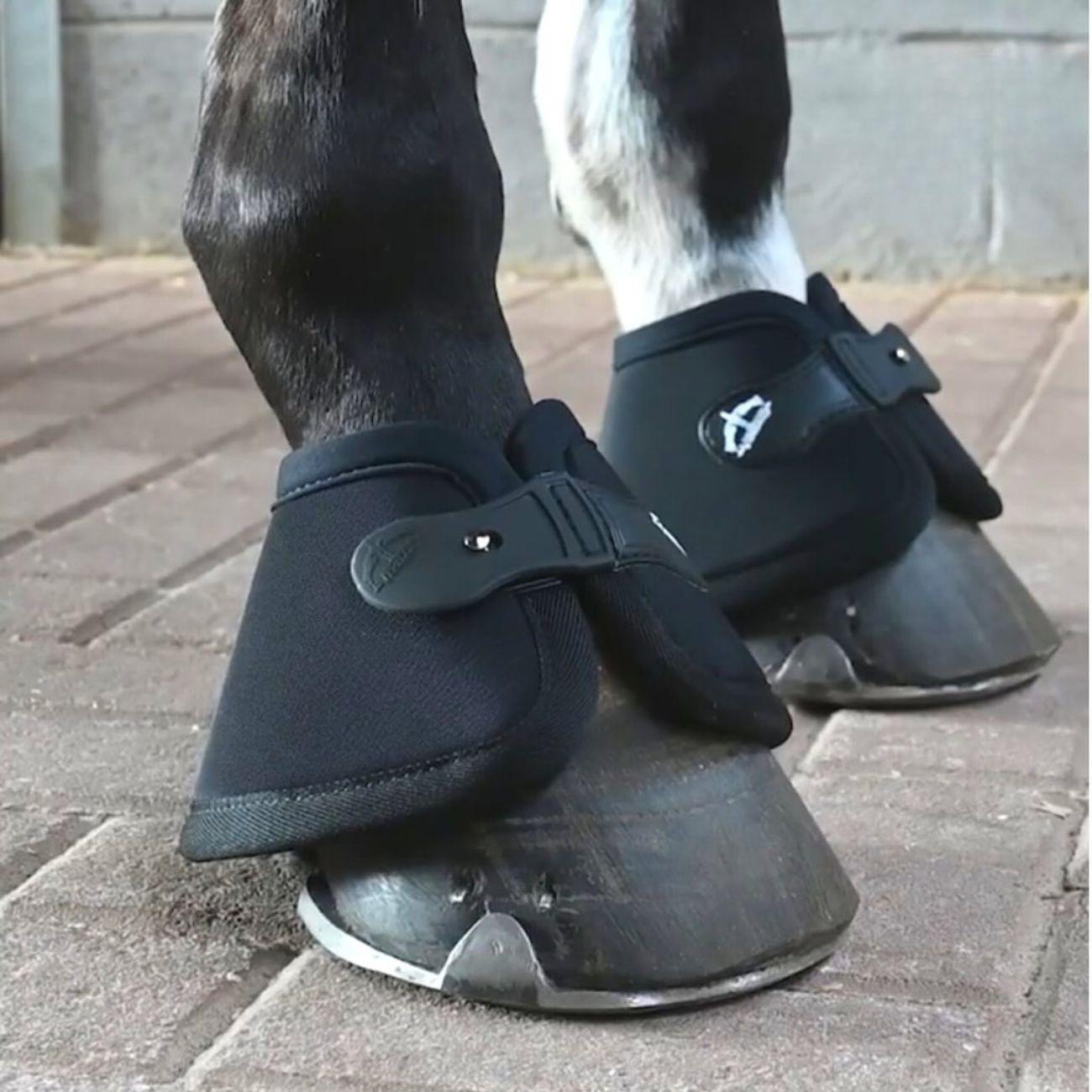 Paraglomi Fast Bell Veredus Nero 30VE-FB BLACK VEREDUS 