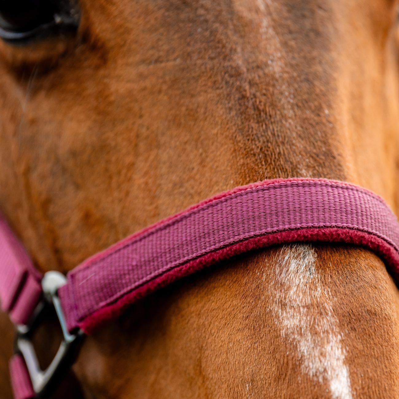 Set Capezza E Lunghina Amigo Horseware Bordeaux DHRX01 RRR0MULBERRY HORSEWARE 