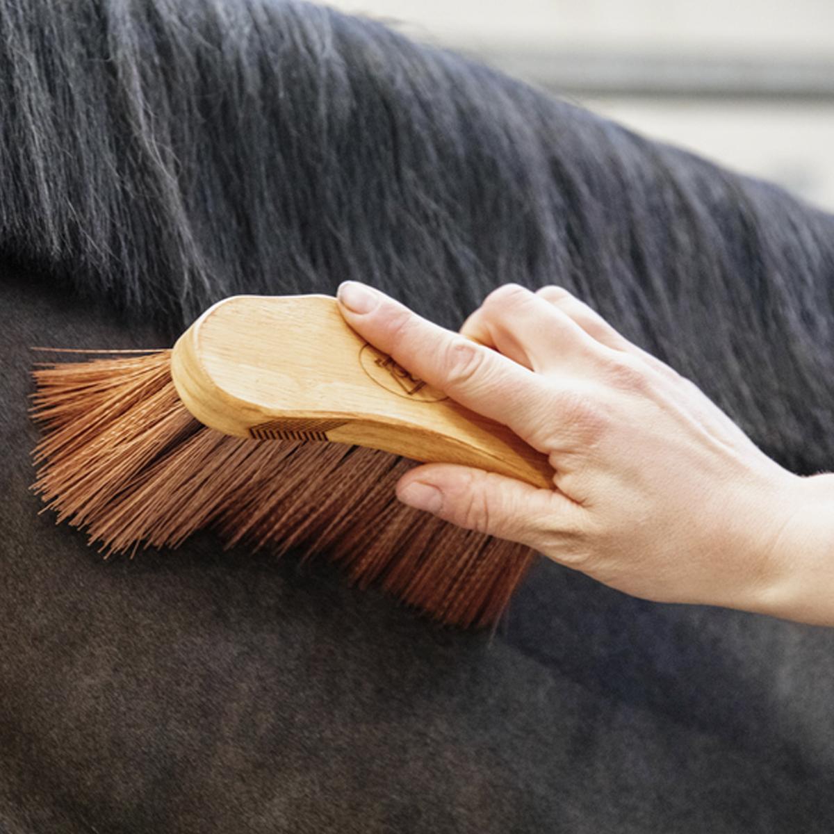BRUSCA IN LEGNO MEDIO KENTUCKY 82137 05BROWN GROOMING DELUXE 