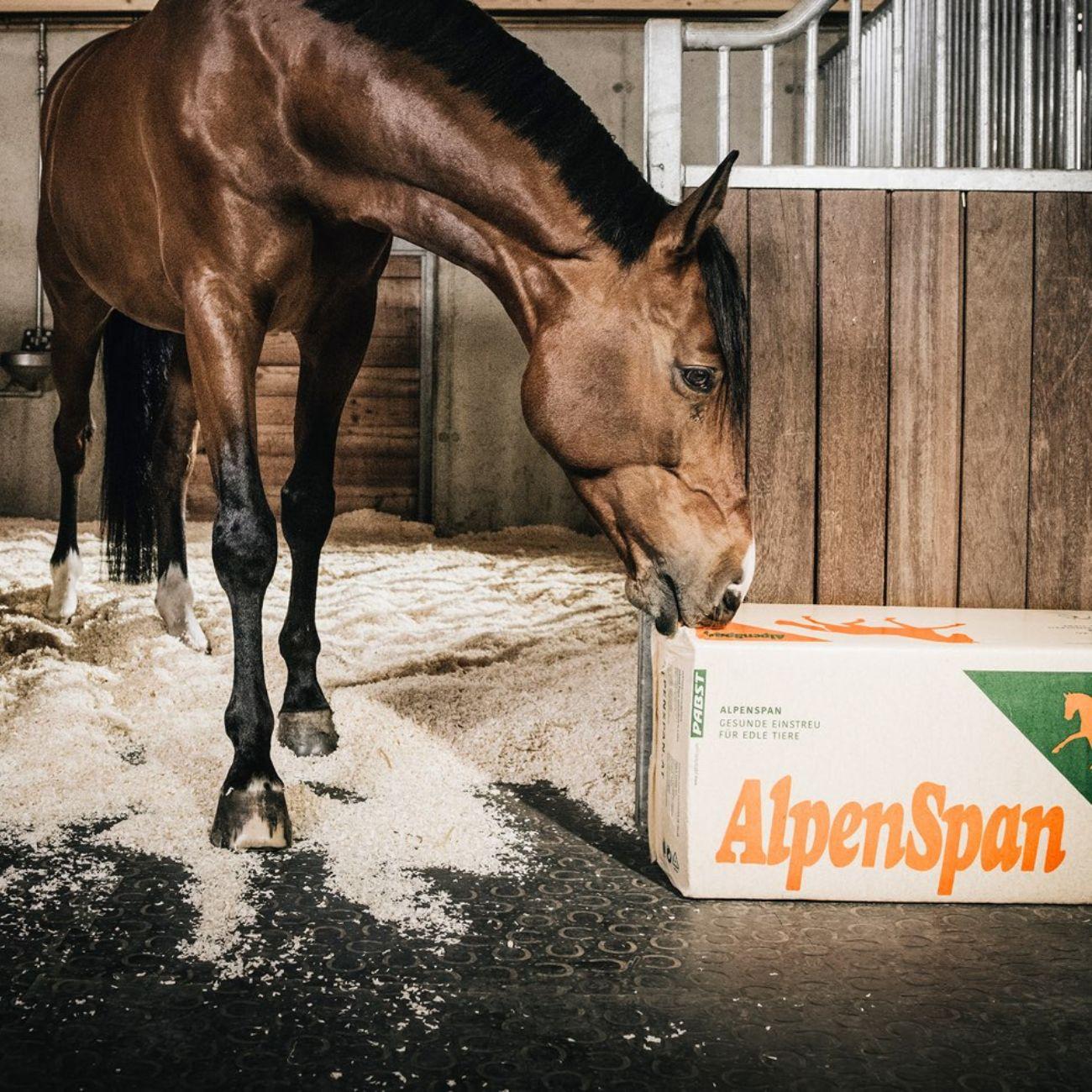 Trucioli Per Lettiera 20kg Alpenspan ALETTALP05 NEUTRO ALPENSPAN 