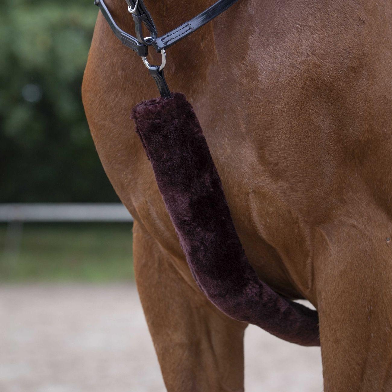 Agnellino Per Pettorale Equitheme Marrone 207503 304BROWN EQUITHEME 