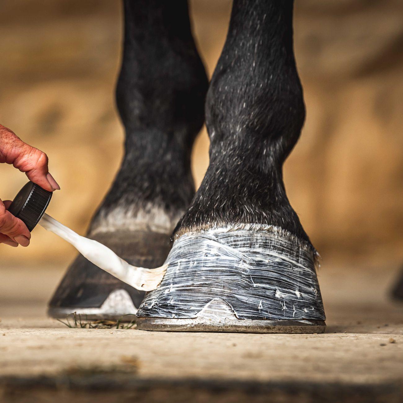 Daily Hoof Moisturiser Cornucrescine 500ml Carr & Day & Martin 726012 NEUTRO CARR AND DAY AND MARTIN 