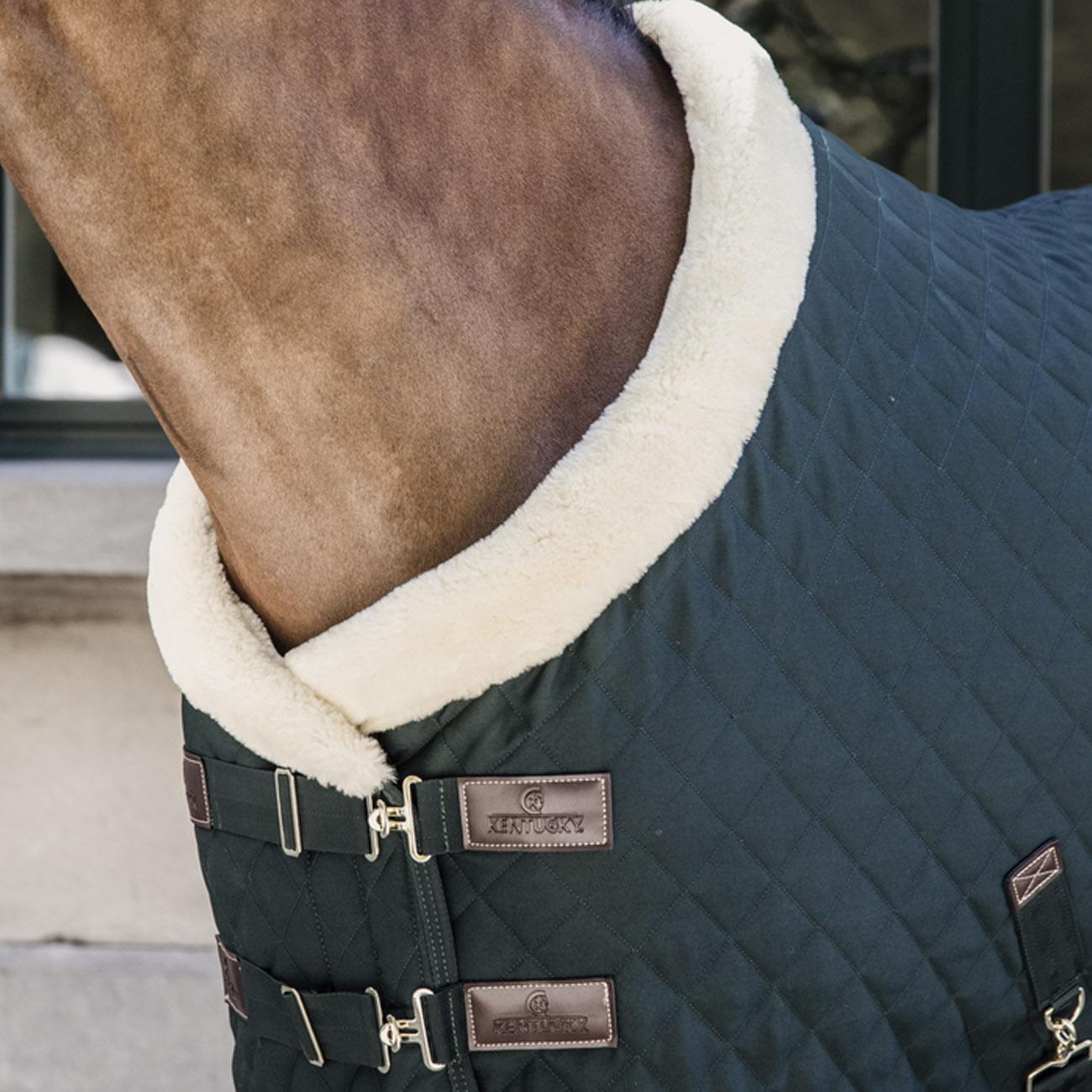 COPERTA SHOW RUG 160GR. KENTUCKY 52101 73DARKGREEN KENTUCKY 