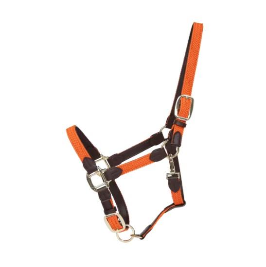 Halter in NYLON KENTUCKY 42516 45ORANGE KENTUCKY
