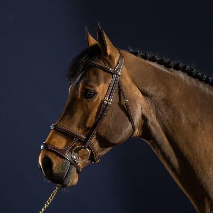 DY'ON DOUBLE NOSEBAND BRIDLE D COLLECTION Marrone TESTIERE DYAAAH BROWN DY'ON 