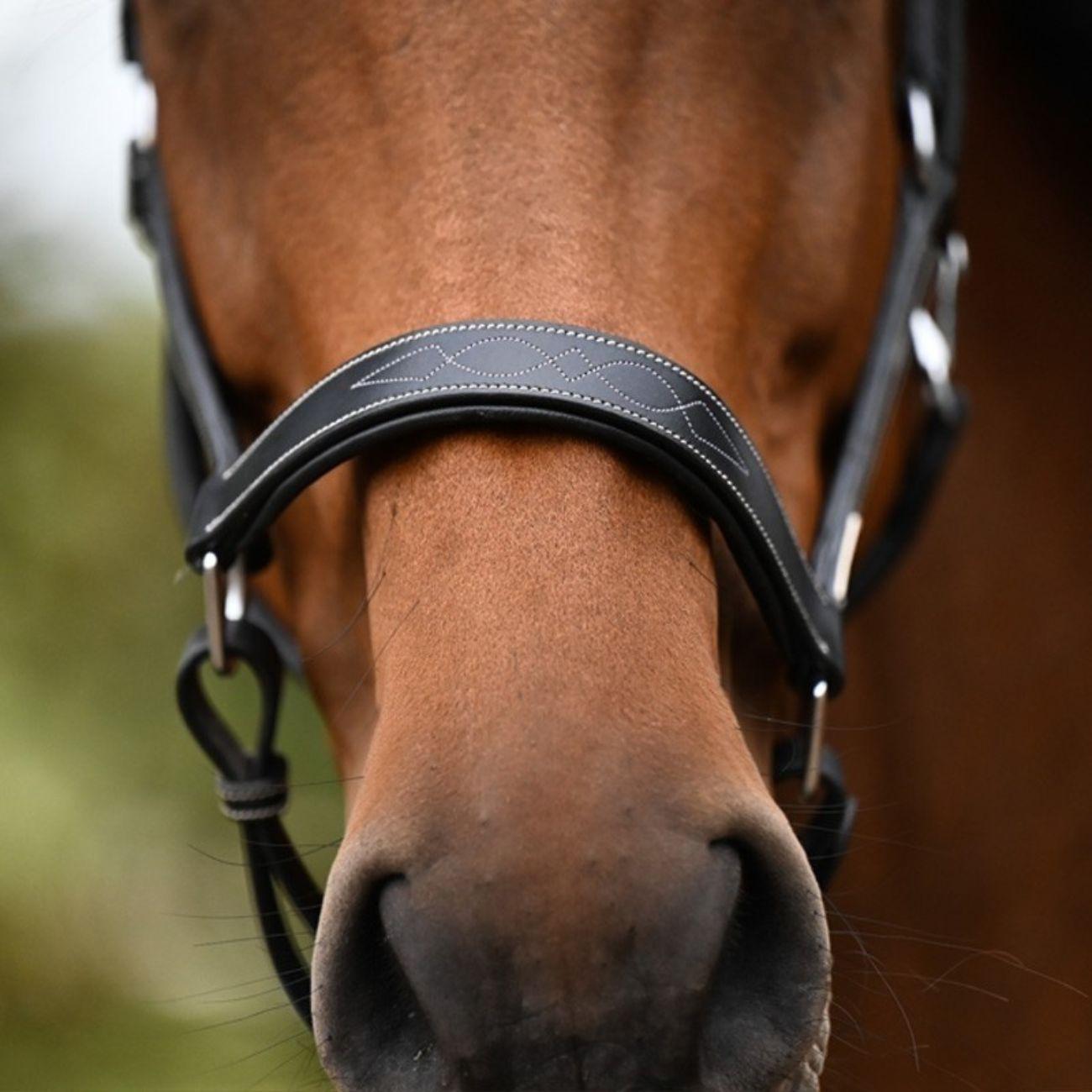 JUMP'IN CAPEZZA - COLLECTION ONE JUMP'IN Nero capezzini e capezze LOFANERO 09JULOFA NERO JUMP'IN 