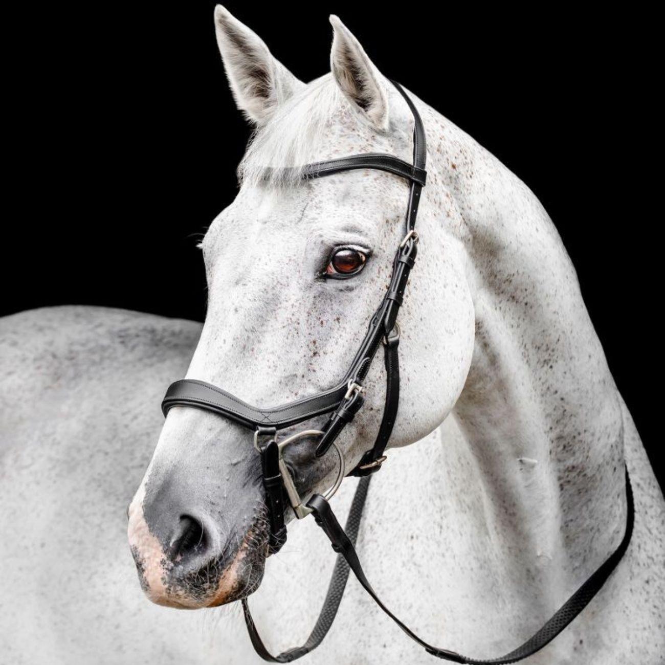 TESTIERA MICKLEM COMPETITION HORSEWARE SBMBN1 BLACK HORSEWARE