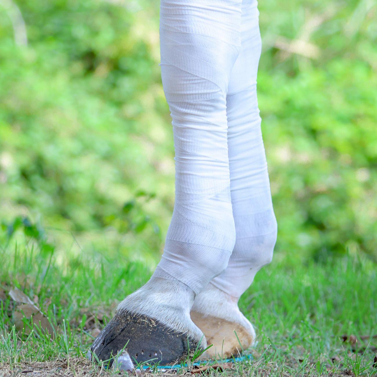 Bendaggio Drenante Equestre Elite X Mascheroni Selleria BENDREN NEUTRO EQUESTRE ELITE 