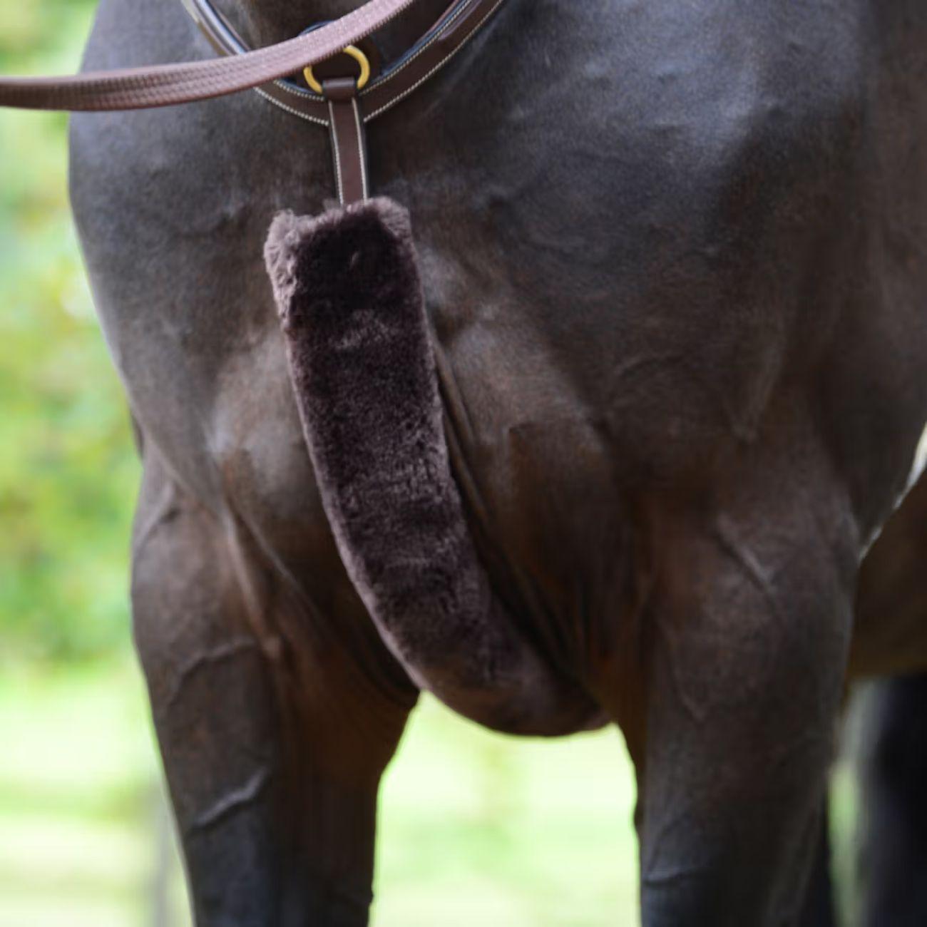 Agnellino Per Pettorale Kentucky Marrone 42601 05BROWN KENTUCKY 