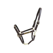 Capezza In Cuoio Flex Con Targhetta Kentucky 42712 05BROWN KENTUCKY 