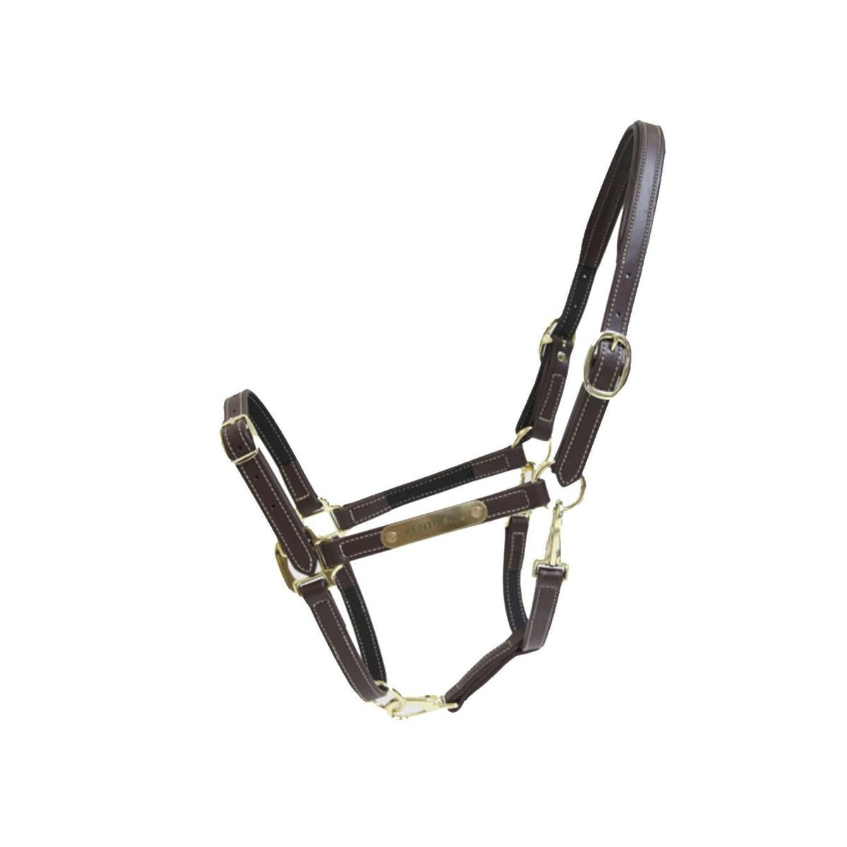 Capezza In Cuoio Flex Con Targhetta Kentucky 42712 05BROWN KENTUCKY 