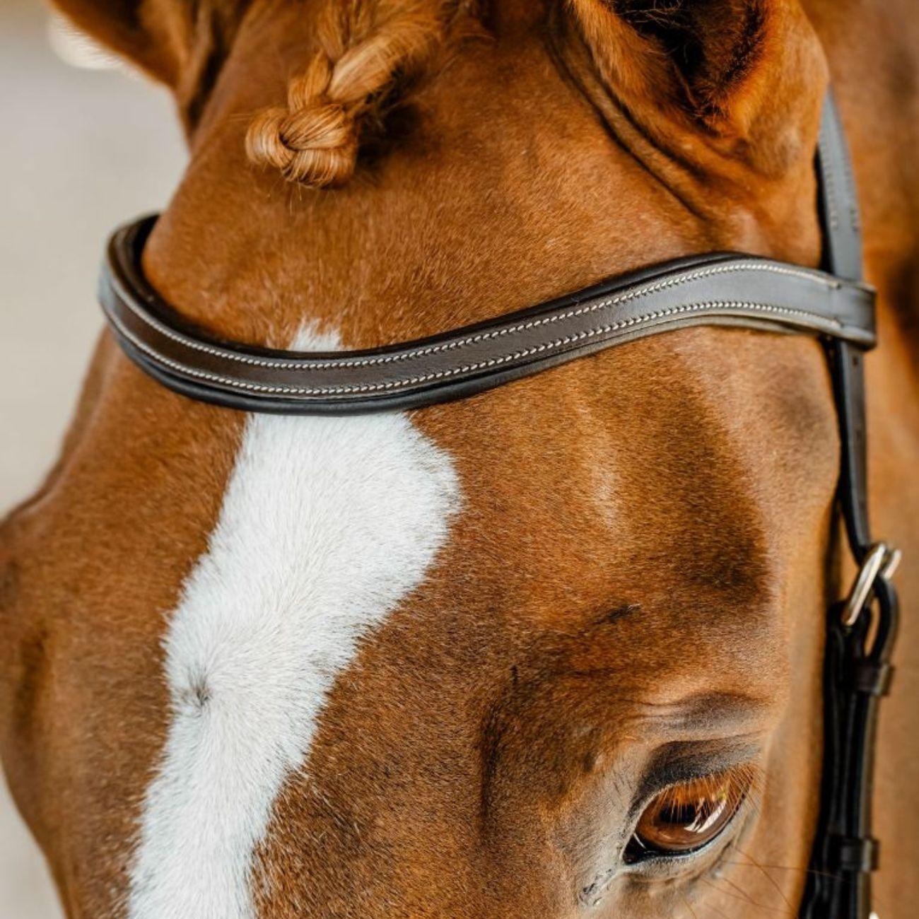 TESTIERA MICKLEM COMPETITION HORSEWARE SBMBN1 BROWN HORSEWARE 