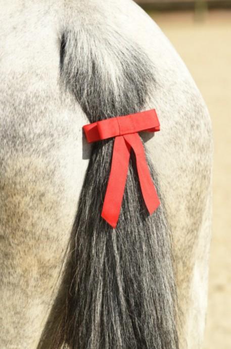 NORTON Tail Tape Red Accessori 306799 003 RED NORTON 