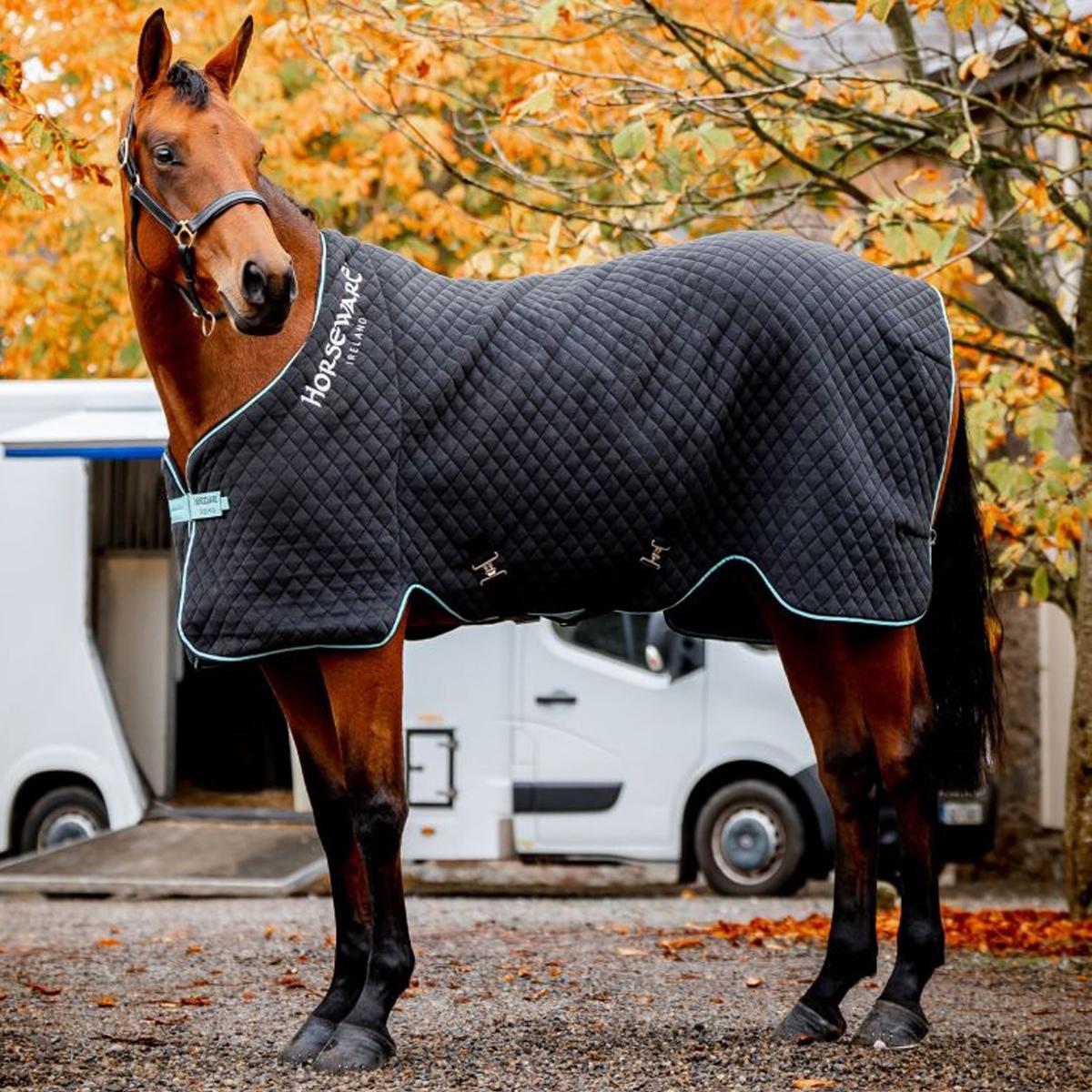COPERTA TERMICA DA BOX 50GR. 31HO-ACHFL2 BLACK-ACQUA-SILVER HORSEWARE