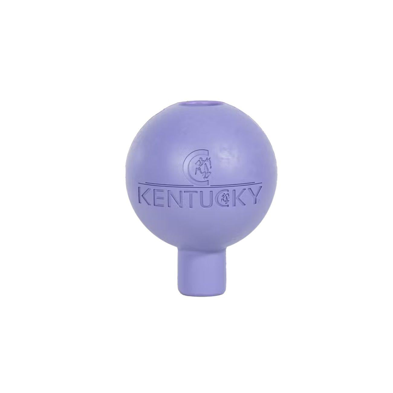 82154 78LAVENDER KENTUCKY