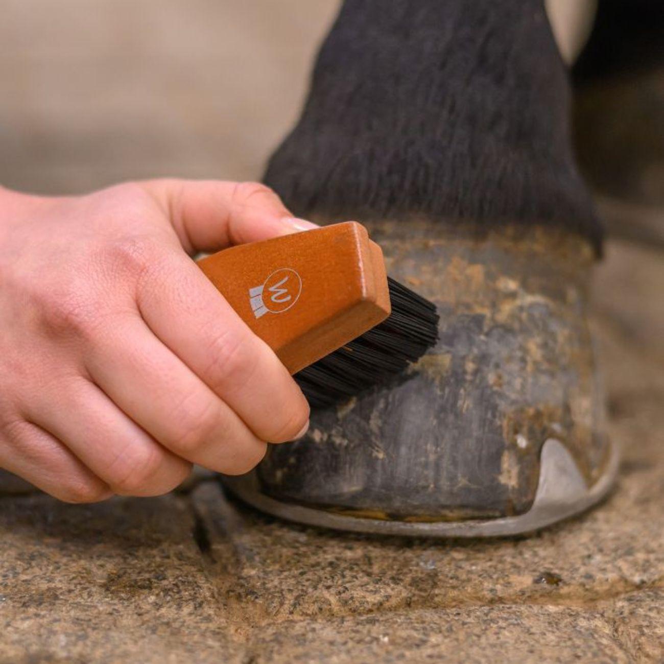 Spazzola Per Zoccoli Hardwood Waldhausen 3825701 LEGNO WALDHAUSEN 