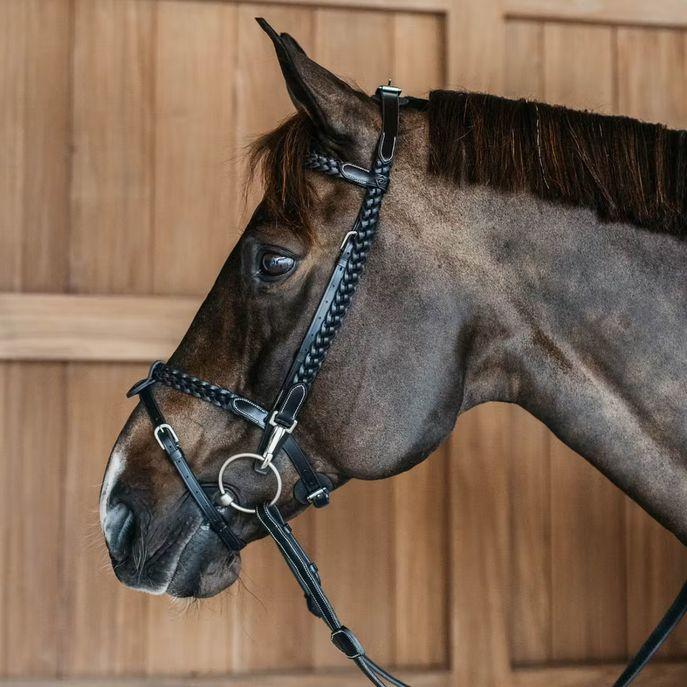DY'ON PLAITED TRAINIG BRIDLE WORKING BY DYON Nero TESTIERE WOXXJG BLACK DY'ON 