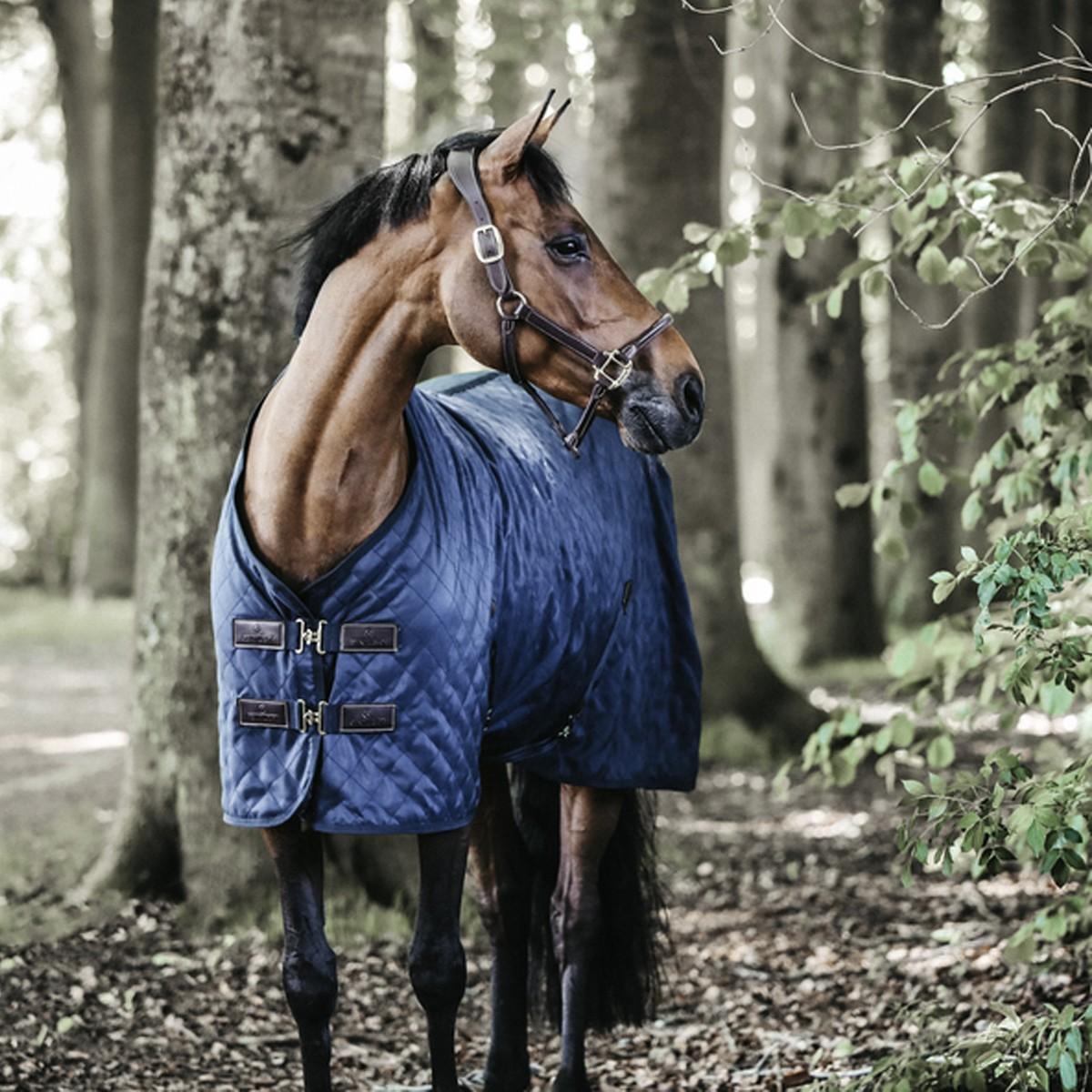 KENTUCKY COPERTA STABLE RUG 0GR. CON CINGHIE E AGNELLINO Blu coperta per cavallo 52124 03NAVY KENTUCKY 