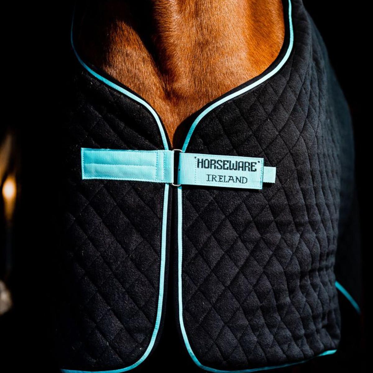 COPERTA TERMICA DA BOX 50GR. 31HO-ACHFL2 BLACK-ACQUA-SILVER HORSEWARE 
