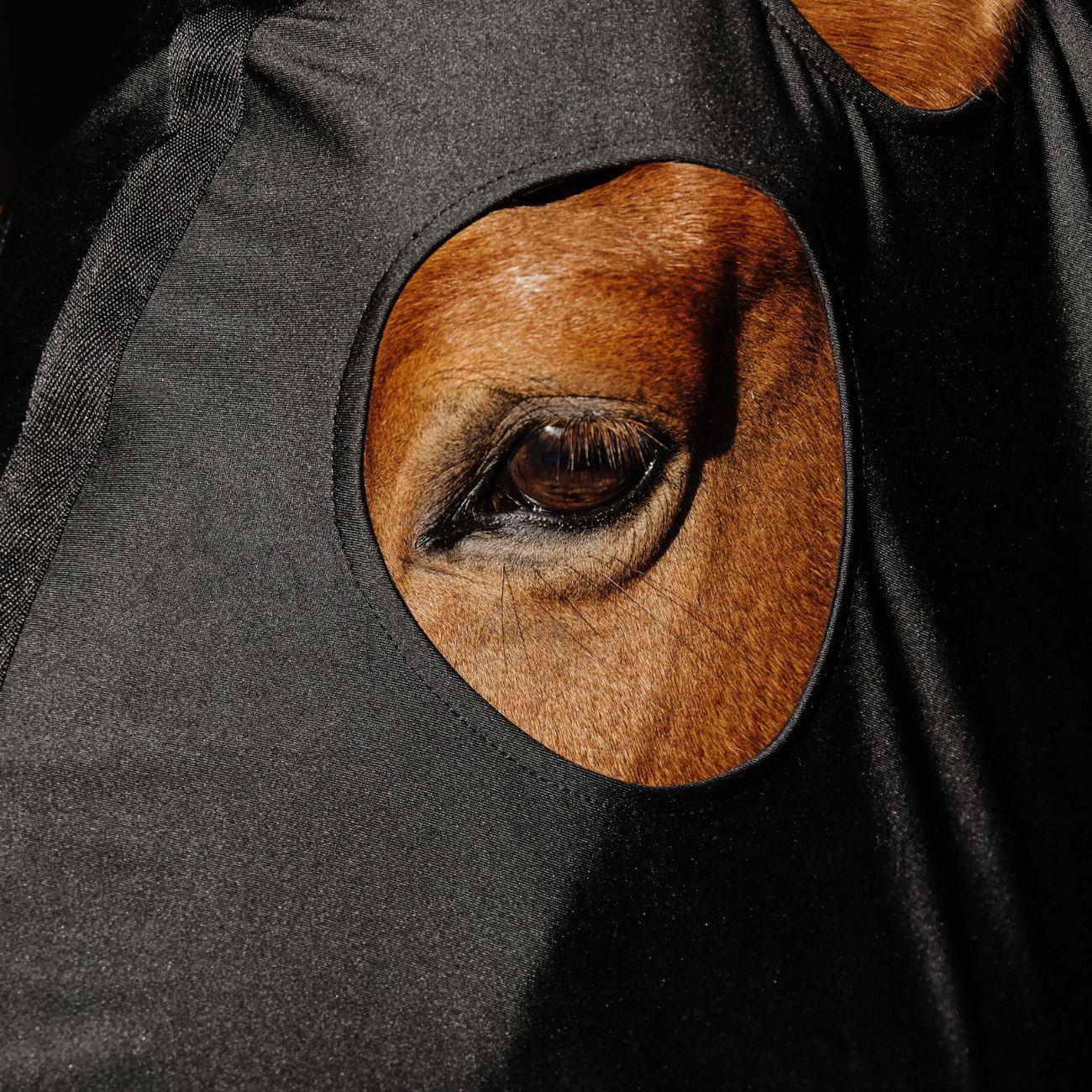 Protezione Per Collo In Lycra/Mesh Equitheme 400412 BLACK EQUITHEME 