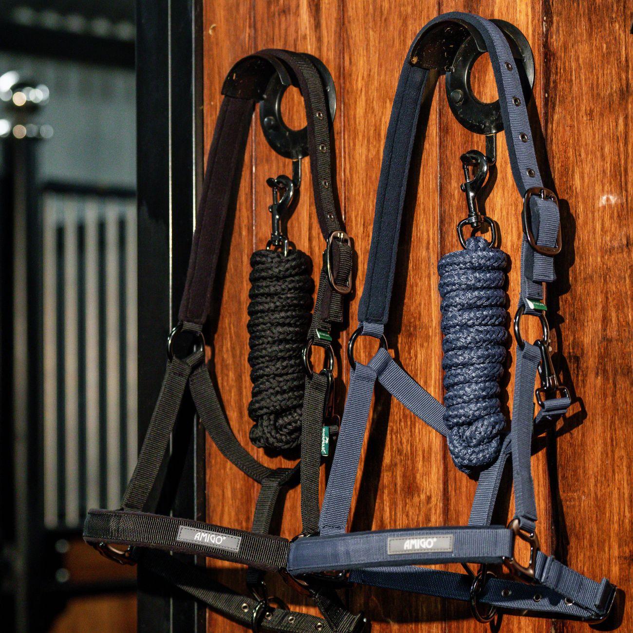 Set Capezza E Lunghina Amigo Horseware Blu DHRX01 B000NAVY HORSEWARE 