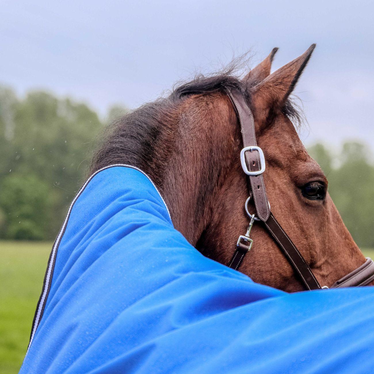 Coperta A Collo AltoTyrex Aisace 1200D Equitheme 400966 ROYAL BLUE EQUITHEME 