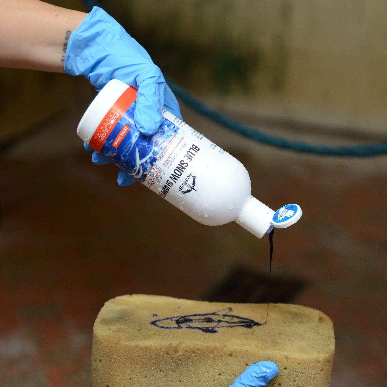 Blue Snow Shampoo 500ml Veredus BSSH05 NEUTRO VEREDUS 