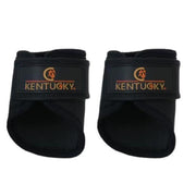 42307 01BLACK KENTUCKY