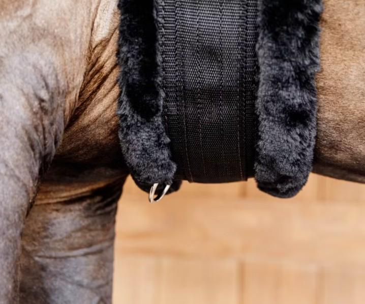 Sottopancia Con Agnellino Kentucky Nero/Nero 42401 11BLACK/BLACK KENTUCKY 