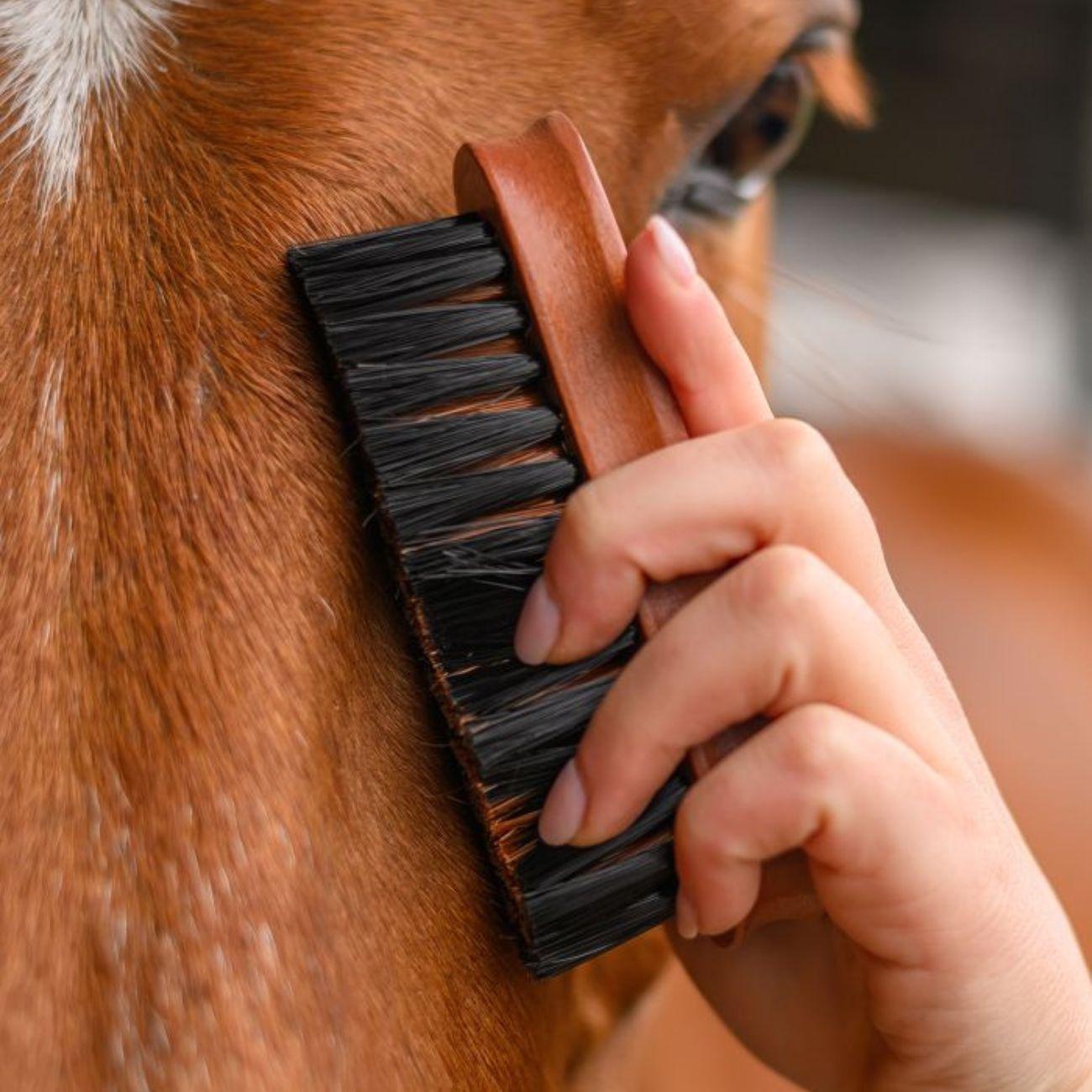 Spazzola Per La Testa Hardwood Waldhausen 3825601 LEGNO WALDHAUSEN 