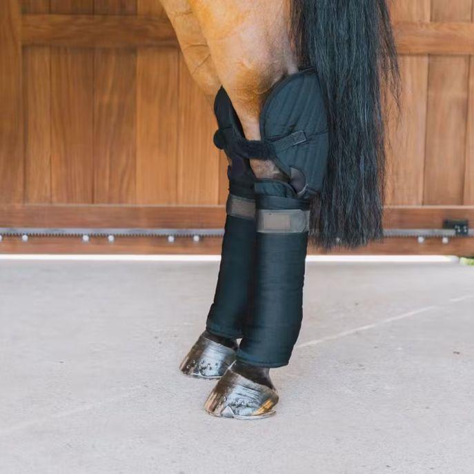 Paracolpi Transport Stable Bandage Pad with Hock Protection Kentucky 42118 01BLACK KENTUCKY 