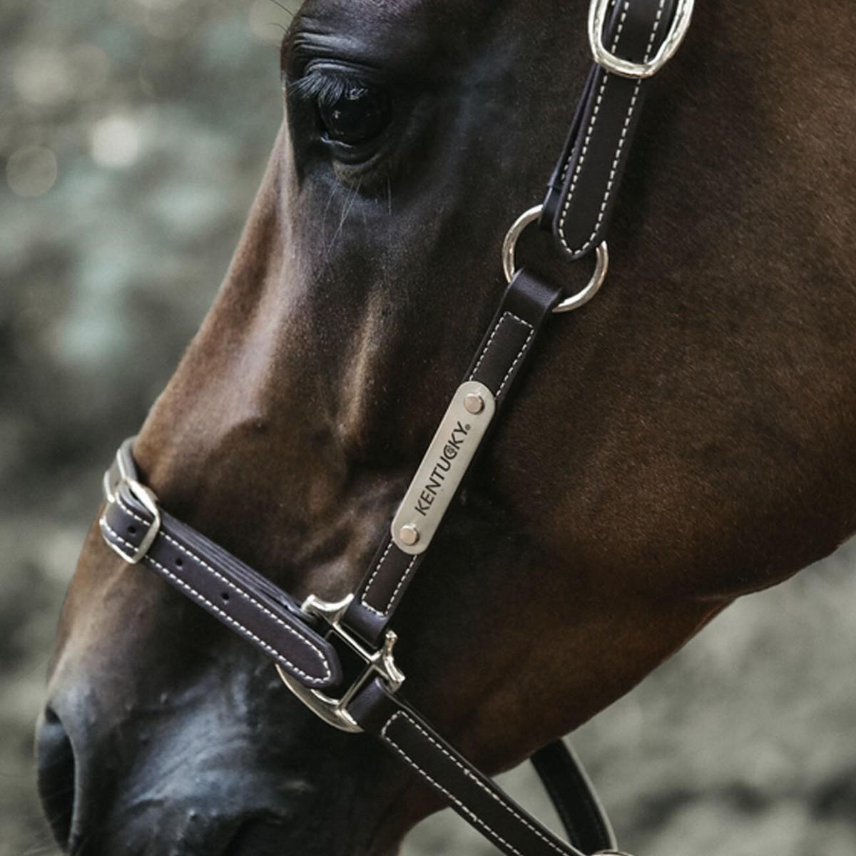 Capezza In Cuoio Flex Con Targhetta Kentucky 42712 05BROWN KENTUCKY 