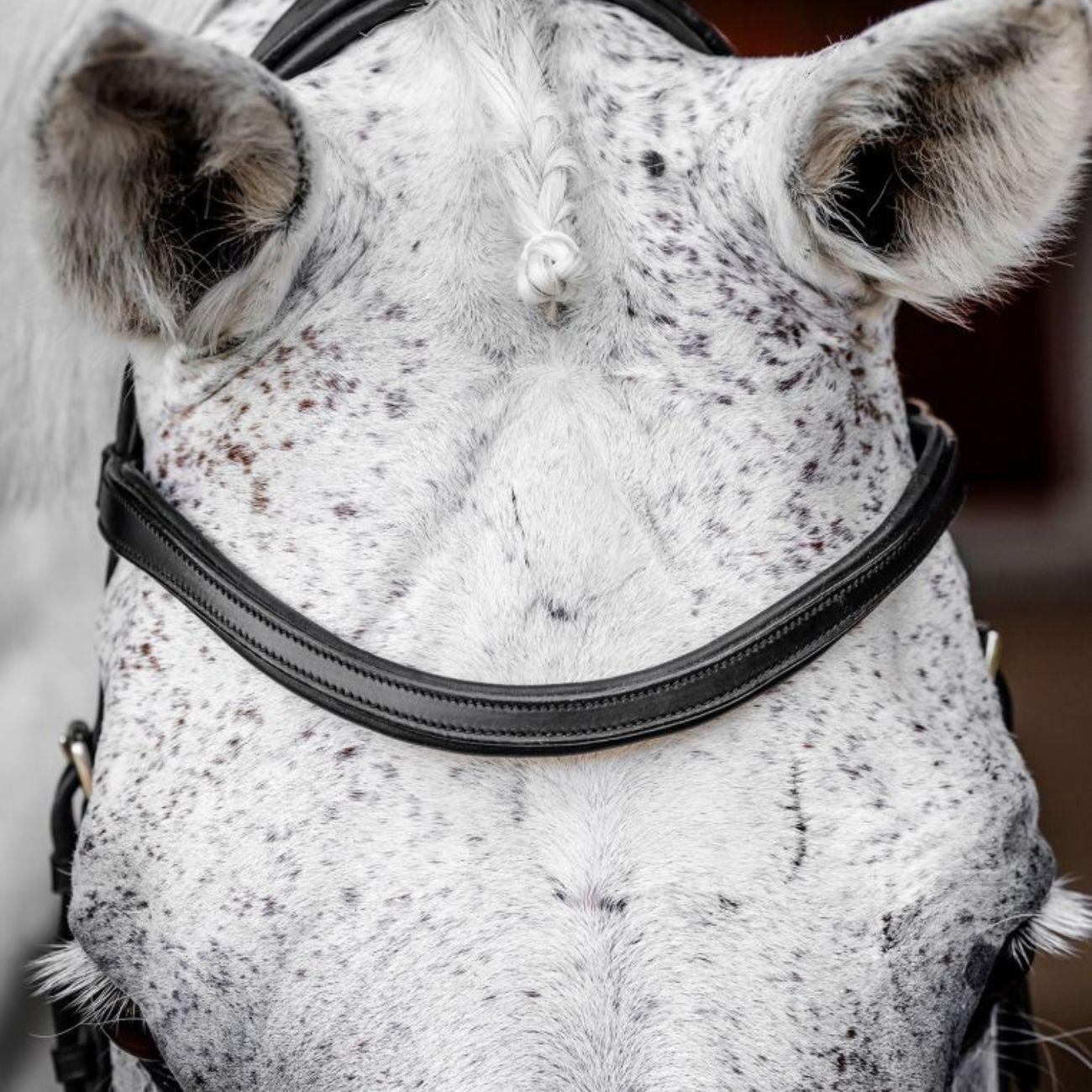 TESTIERA MICKLEM COMPETITION HORSEWARE SBMBN1 BLACK HORSEWARE 