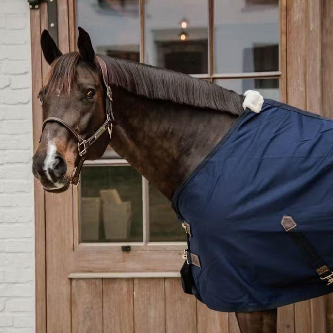 Coperta Cotton Sheet Kentucky Blu 52115 03NAVY KENTUCKY 