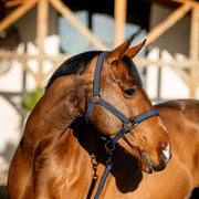 Set Capezza E Lunghina Amigo Horseware Blu DHRX01 B000NAVY HORSEWARE 