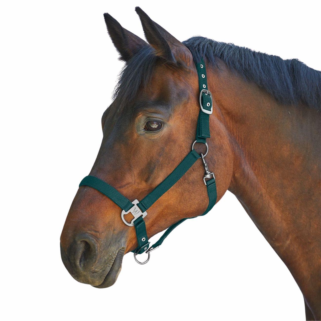 WALDHAUSEN Capezza Gloomy Verde 50483 64FIRGREEN 