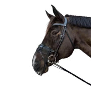 Rete Antimosche Per Naso Kentucky 42663 01BLACK KENTUCKY 