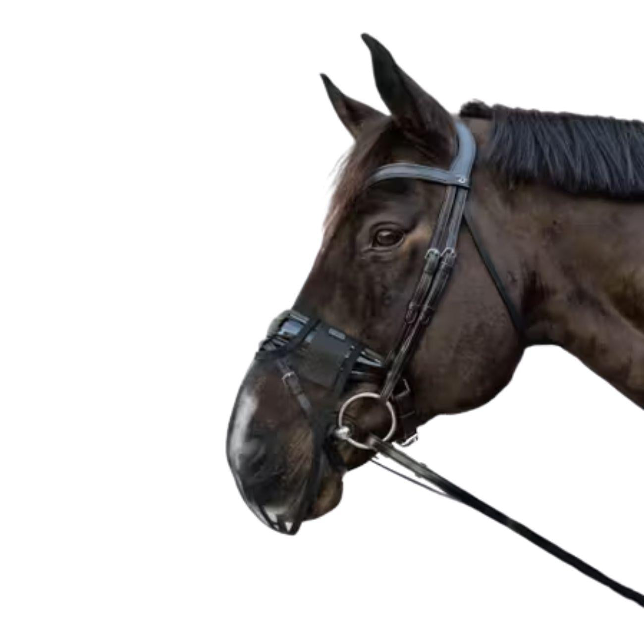 Rete Antimosche Per Naso Kentucky 42663 01BLACK KENTUCKY 