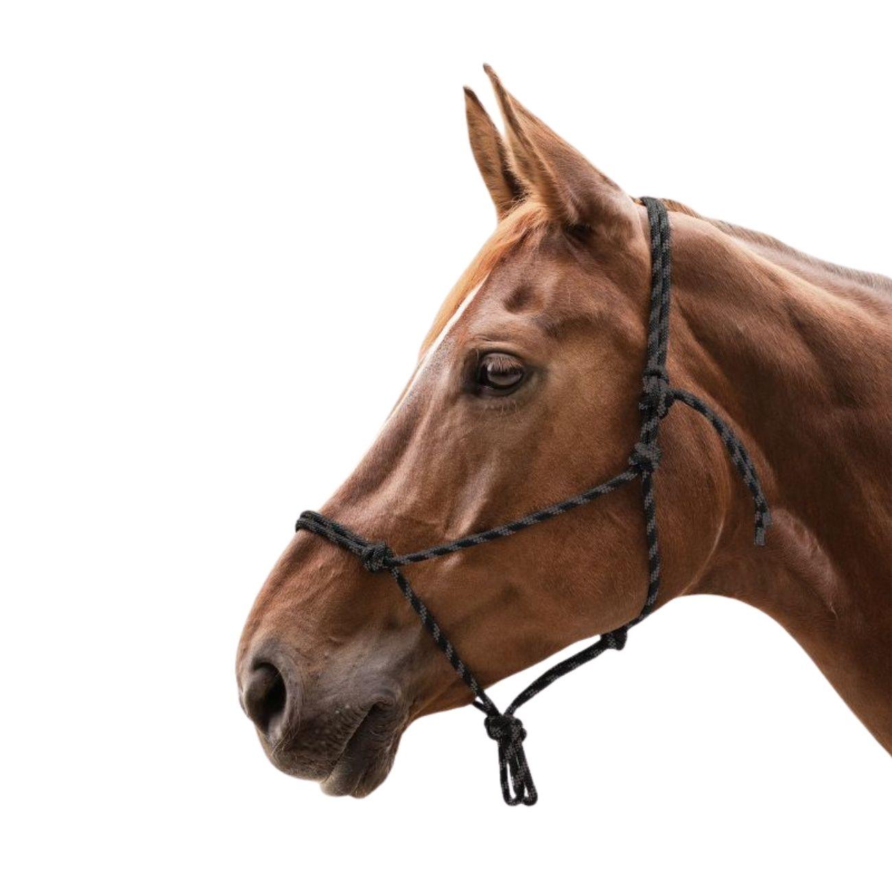 Capezza Annodata Waldhausen Nero/Marrone 50411 171BLACK/BROWN WALDHAUSEN 