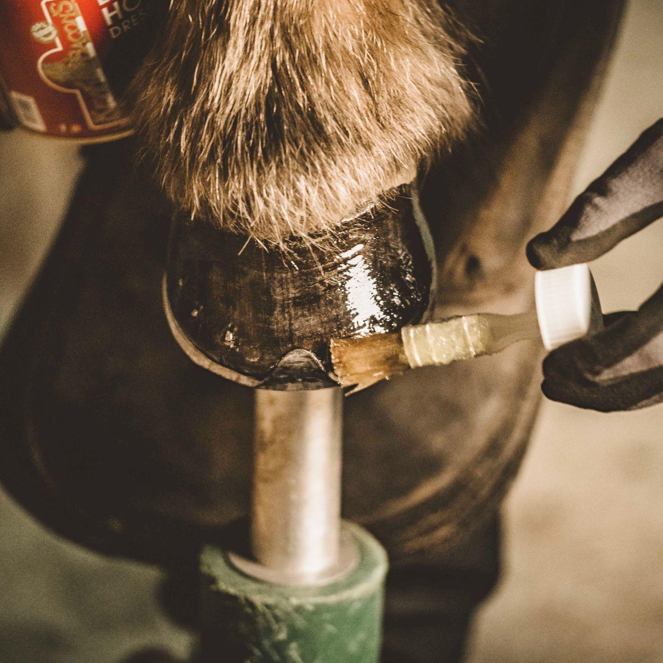 Olio Per Zoccoli Hoof Dressing Liquid Penelope 727006 NEUTRO PENELOPE 