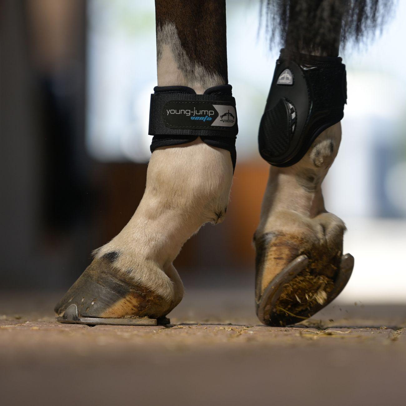 Paranocche Posteriori In Neoprene Young-Jump Vento Veredus Nero YJV BLACK VEREDUS 