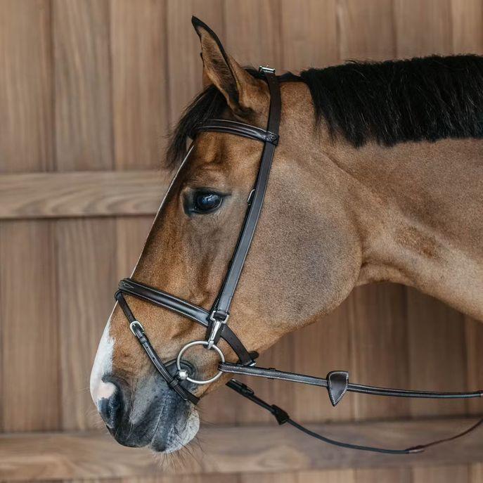 DY'ON TRAINING BRIDLE WBD DY'ON Marrone TESTIERE WOXXII BROWN DY'ON 
