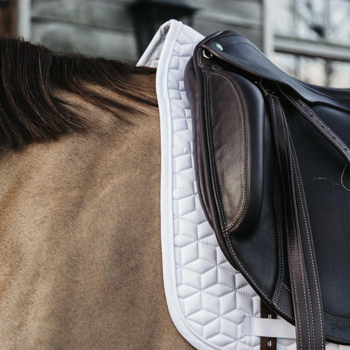 Saddle pad DRESSAGE CLASSIC KENTUCKY 42803-DR 02WHITE KENTUCKY
