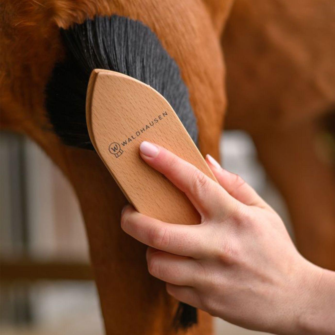 Brusca Dust Brush Exclusive Line 3874620 NEUTRO WALDHAUSEN 