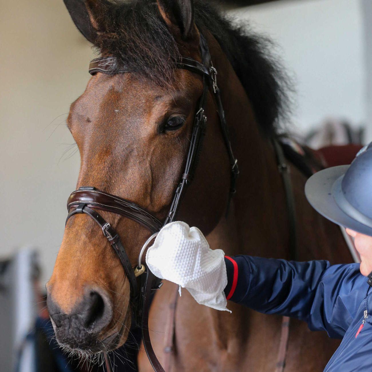 Carr & Day & Martin BELVOIR TACK CLEANER MITT STEP 1 - detergente per cuoio spray (Step 1) 726018 NEUTRO CARR AND DAY AND MARTIN 