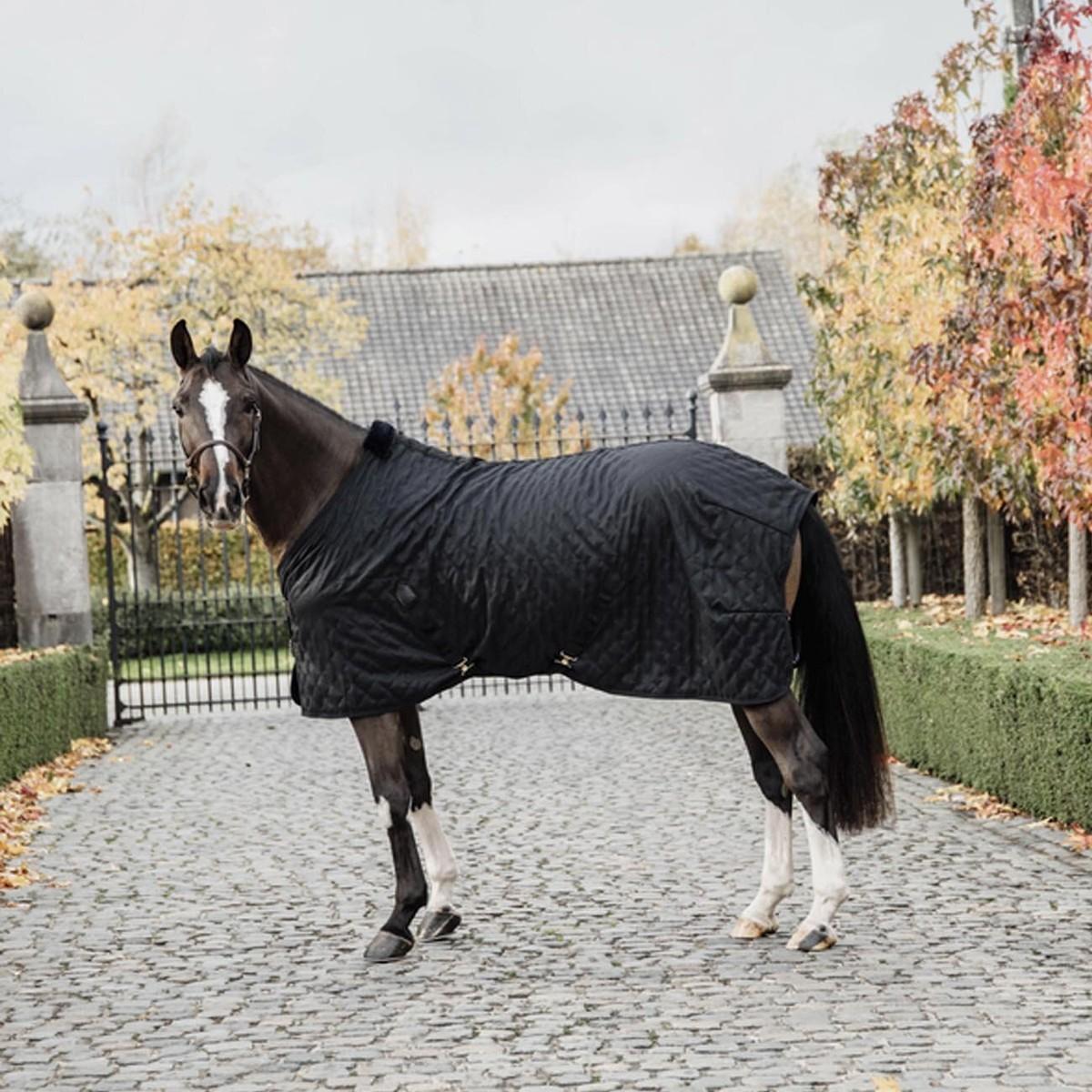 KENTUCKY COPERTA STABLE RUG 0GR. CON CINGHIE E AGNELLINO Nero coperta per cavallo 52124 11BLACK/BLACK KENTUCKY 