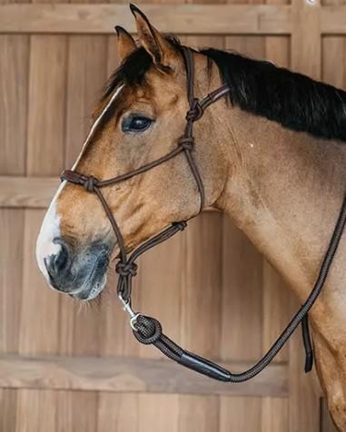 DY'ON TRAINING HALTER DY'ON Nero CAPEZZINI E CAPEZZE WO09C BLACK DY'ON 